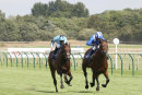 Race 2 - James Street (3)
