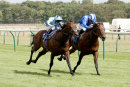 Race 2 - James Street (6)