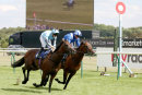 Race 2 - James Street (7)
