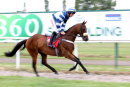 Race 2 - John Constable (2)