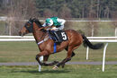 Race 2 - Kamaxos (6)