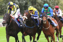 Race 2 - Kick On Kick On (4)