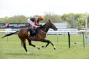 Race 2 - King Of Clubs (11)