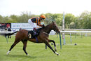 Race 2 - King Of Clubs (12)