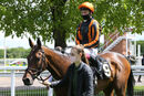 Race 2 - King Of Clubs (13)