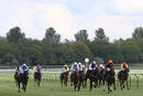 Race 2 - King Of Clubs (3)