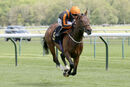 Race 2 - King Of Clubs (6)
