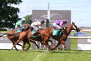 Race 2 - Kings Gold (8)