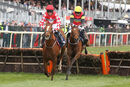 Race 2 - Knight Salute (3)