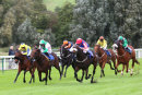Race 2 - Kodiac Express (6)