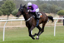 Race 2 - L Inganno Felice (8)