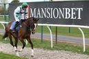 Race 2 - Lady Camelot (2)