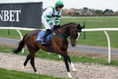 Race 2 - Lady Camelot (3)