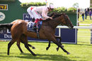 Race 2 - Lah Ti Dar (4)