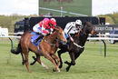 Race 2 - Leo Davinci (10)