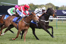 Race 2 - Leo Davinci (11)