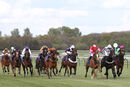 Race 2 - Leo Davinci (2)