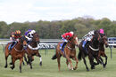 Race 2 - Leo Davinci (4)