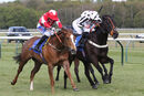 Race 2 - Leo Davinci (5)