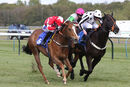 Race 2 - Leo Davinci (7)