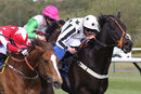 Race 2 - Leo Davinci (8)
