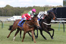 Race 2 - Leo Davinci (9)