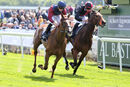 Race 2 - Lilac Road (5)