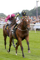 Race 2 - Lion Tower (3)