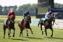Race 2 - Luchador (9)