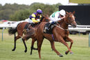 Race 2 - Madame Ambassador (13)