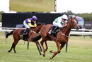 Race 2 - Madame Ambassador (14)