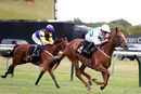 Race 2 - Madame Ambassador (15)