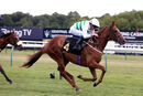 Race 2 - Madame Ambassador (18)
