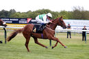 Race 2 - Madame Ambassador (19)
