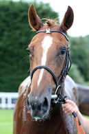 Race 2 - Madame Ambassador (22)