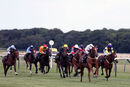 Race 2 - Madame Ambassador (7)