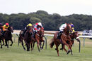 Race 2 - Madame Ambassador (9)