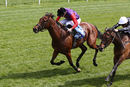 Race 2 - Magnetic Charm (3)
