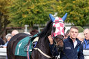 Race 2 - Maid In Manhattan (2)