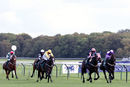 Race 2 - Maid In Manhattan (4)