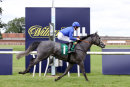 Race 2 - Major Partnership (10)