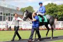 Race 2 - Major Partnership (11)