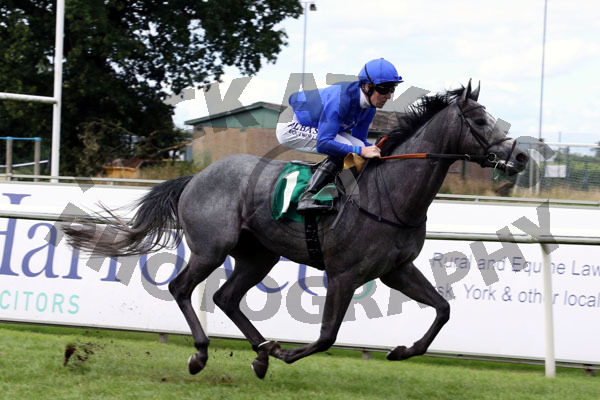 Race 2 - Major Partnership (6)