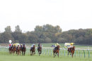 Race 2 - Mannaal (2)