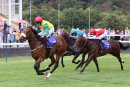 Race 2 - Marks Choice (10)