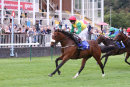Race 2 - Marks Choice (11)