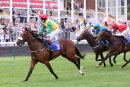 Race 2 - Marks Choice (12)