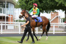 Race 2 - Marks Choice (14)