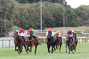 Race 2 - Marks Choice (3)