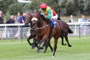Race 2 - Marks Choice (6)